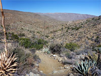 West fork of Plum Canyon