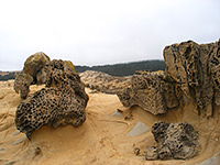 Tafoni (eroded rocks) at Salt Point State Park