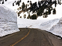 Snow banks along the road