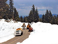Snow plows clearing the road