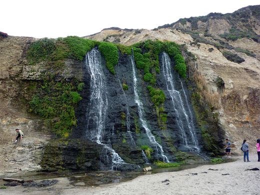 The multiple channels of Alamere Falls, Point Reyes