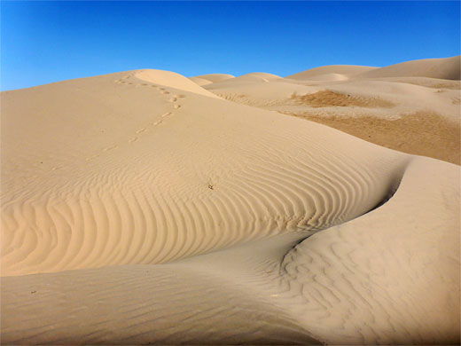 Photographs of Algodones Dunes