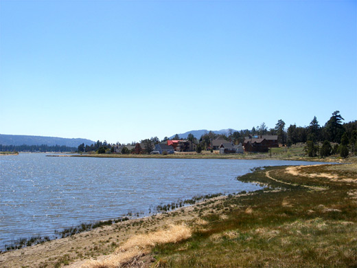 Houses and grassland beside Big Bear Lake