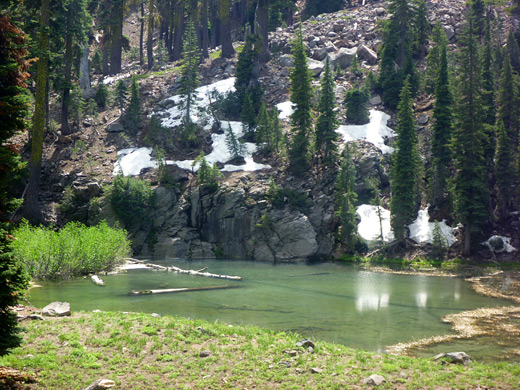 Shallow pond along the Brokeoff Mountain Trail