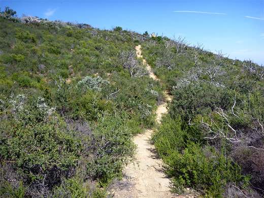 Path to Gaviota Peak