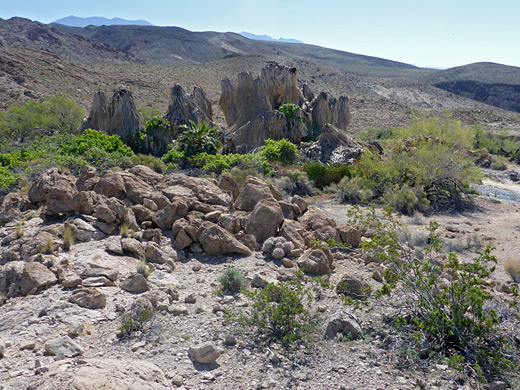 Boulders near an oasis, Grapevine Springs