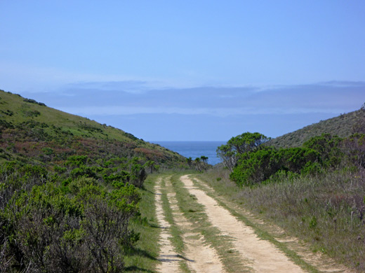 Trail to the coast