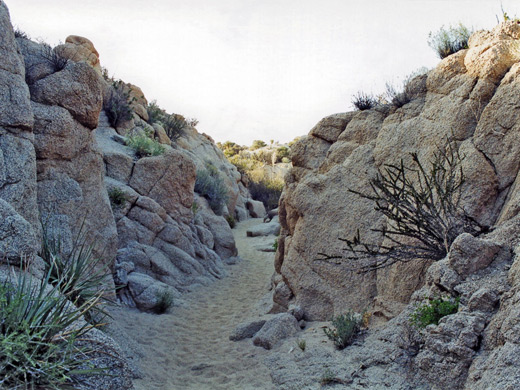 Photographs of Joshua Tree National Park