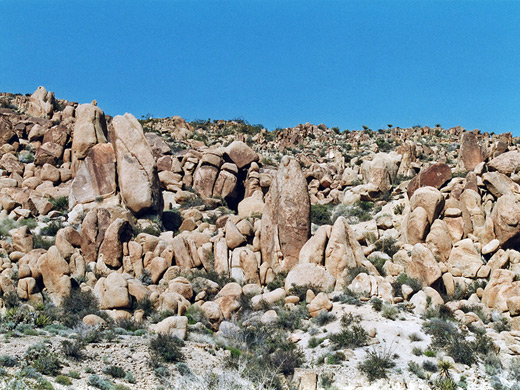 Photographs of Joshua Tree National Park