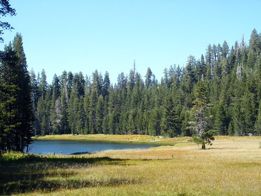 Meadow by the Lukens Lake Trail