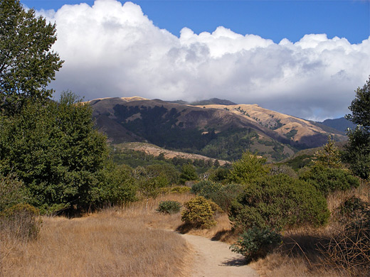 The Beach Trail in Andrew Molera State Park