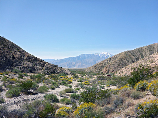The southern end of Big Morongo Canyon