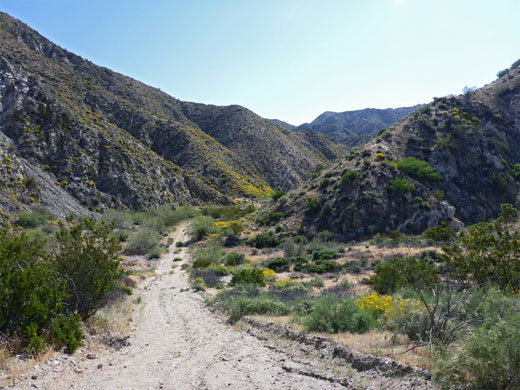 Arid hills enclosing Big Morongo Canyon