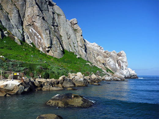 Grass and sheer cliffs along the north side of Morro Rock