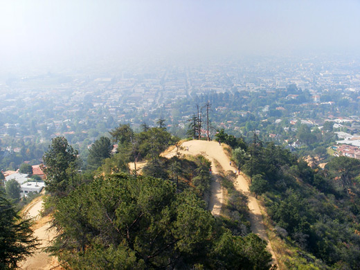 The Observatory Trail, directly below Griffith Observatory
