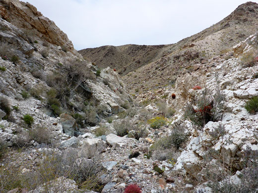 White rocks in the upper right fork of the ravine