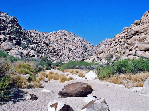 Wide, sandy streamway in the middle of Rattlesnake Canyon