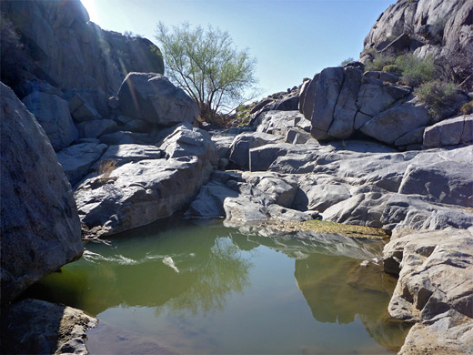 The lower pool at Rock Spring