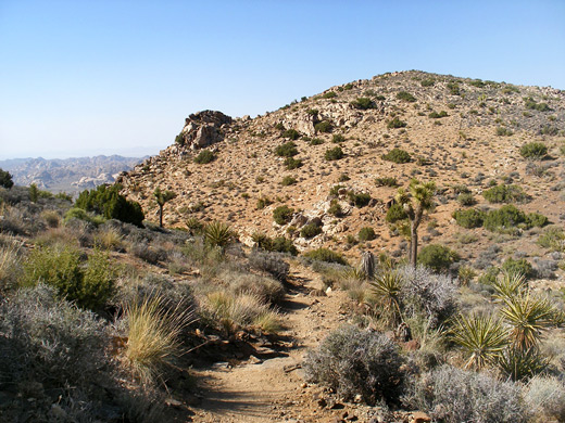 The Ryan Mountain Trail, near the summit