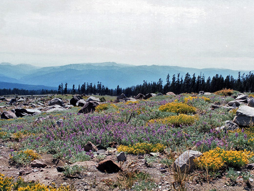 Photographs of Mount Shasta