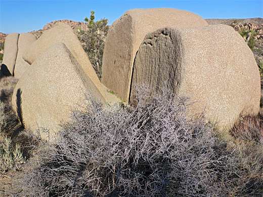 Split boulders along the Lucky Boy Vista Loop