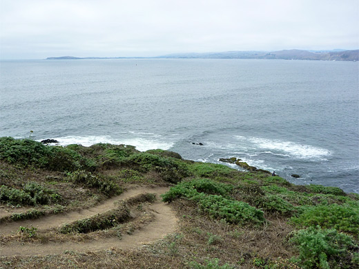 North end of the Tomales Point Trail
