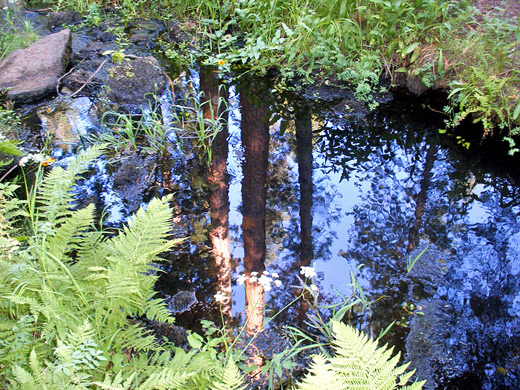Reflections on Crescent Creek