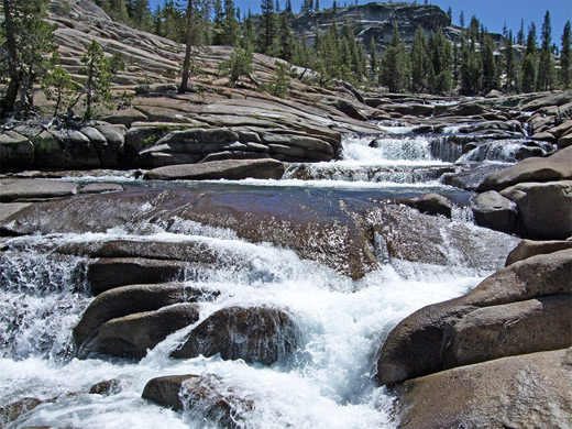 Whitewater along the Tuolumne River,