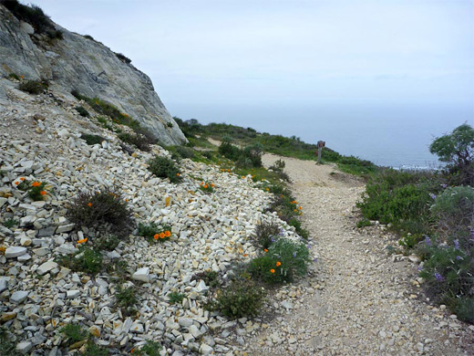 Path at the summi of Valencia Peakt