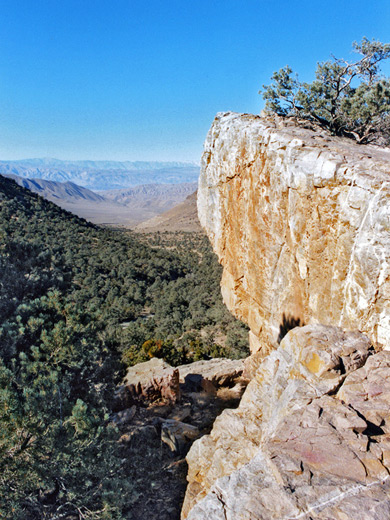 Cliff along the Wildrose Peak Trail