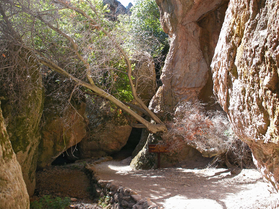 Entrance to Bear Gulch Cave