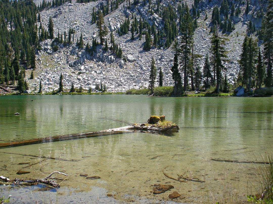 Log in Cliff Lake