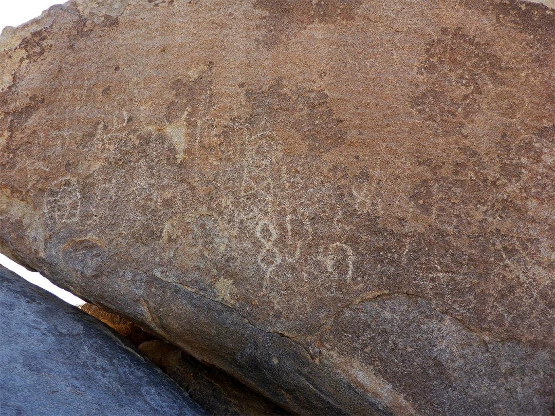 Petroglyph panel