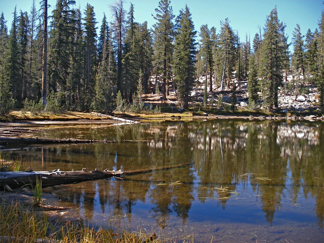 Reflective pond on the Forsyth Trail
