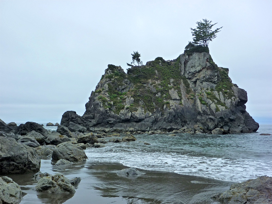 Tiny island in Redwood National Park