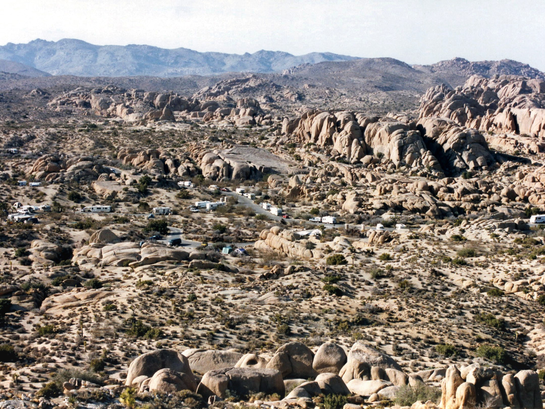 View of the Jumbo Rocks campground
