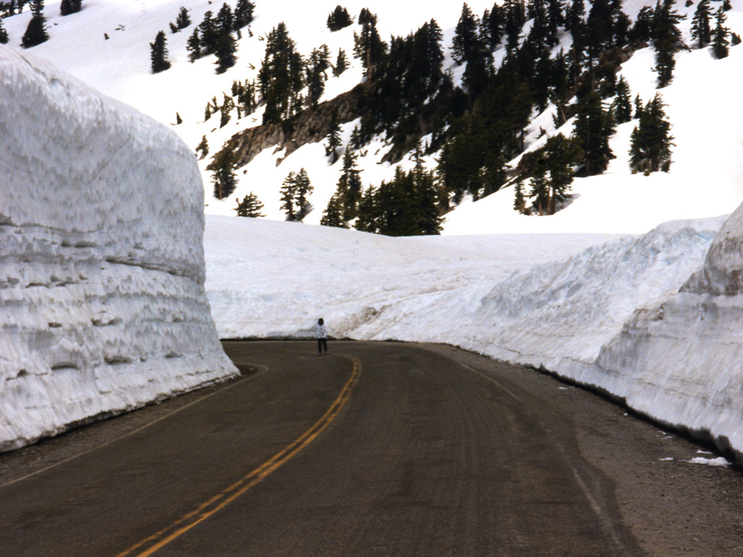 Snow banks along the road