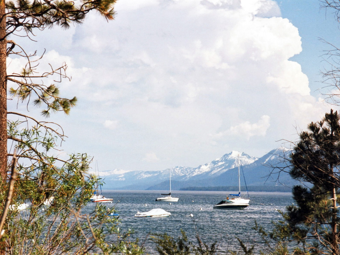 Sail boats on Lake Tahoe
