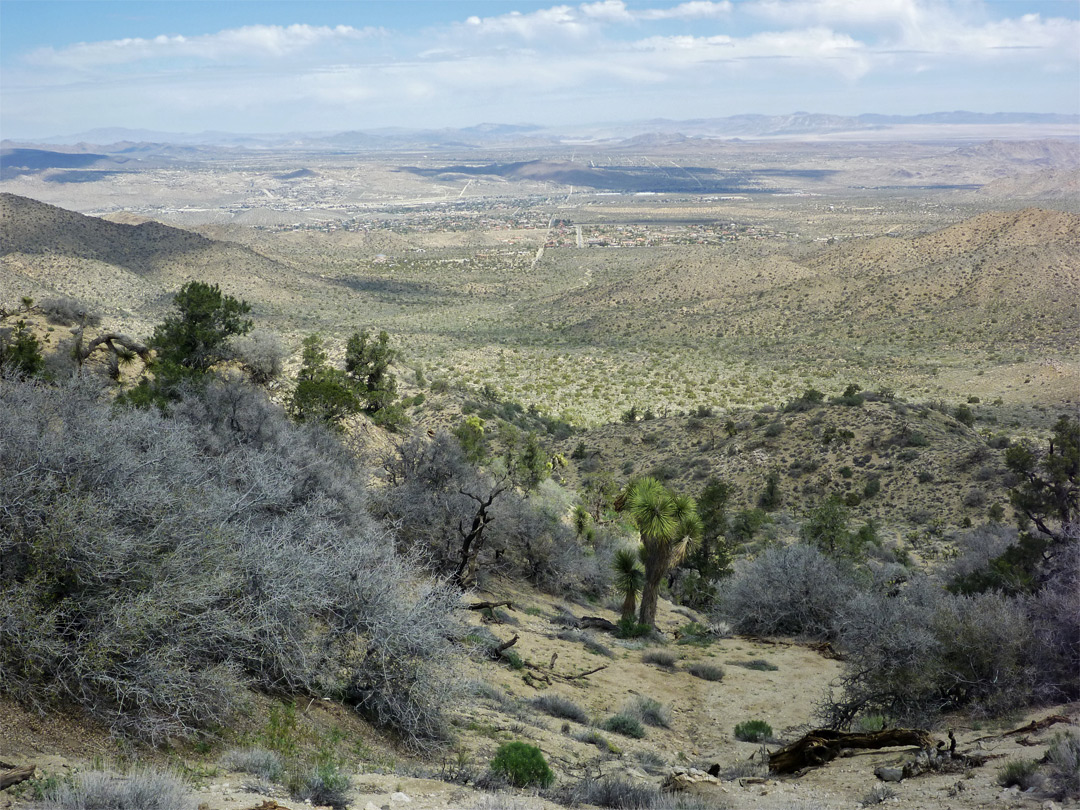 Yucca Valley