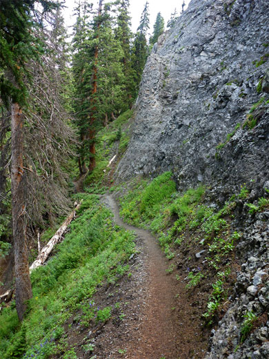 Path across a steep hillside, south of Pack Basin