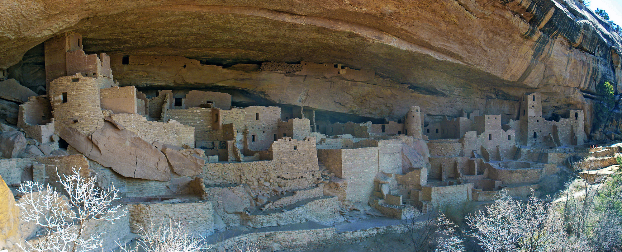Wide view of Cliff Palace