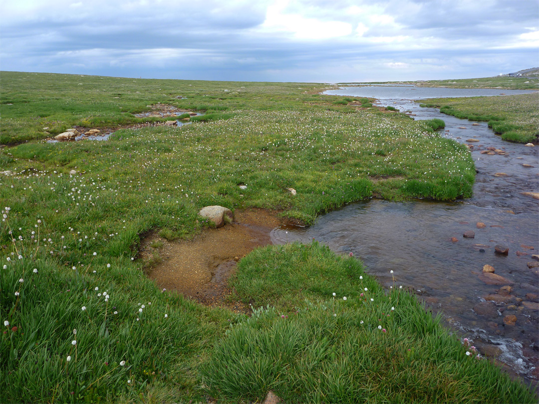Stream across tundra
