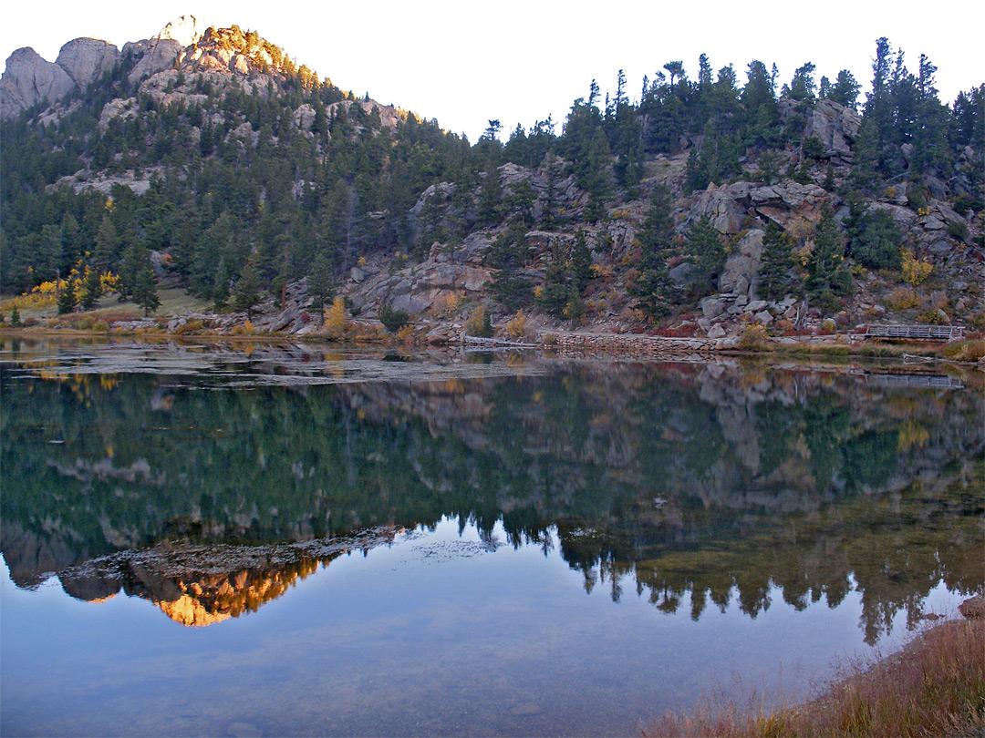 Reflections on Lily Lake