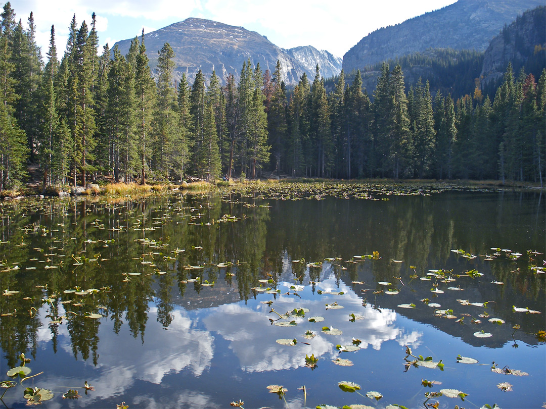 Nymph Lake