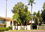 Best Western Bell Hotel