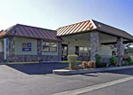 Best Western Country