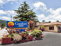 Comfort Inn Carmel Hill