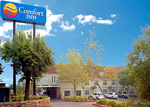 Comfort Inn Auburn Central