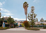 Rodeway Inn Anaheim Maingate