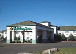 Holiday Inn Williams